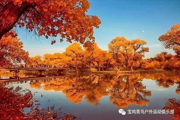枣庄市首个“云储能”项目正式开工